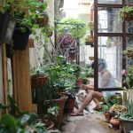 inspirasi halaman rumah