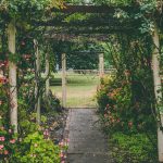 inspirasi taman samping rumah